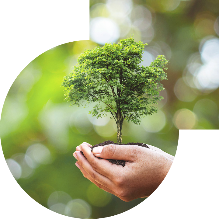 关怀人类、文化、环境与社会